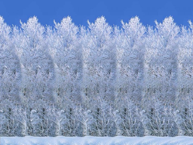 Стерео Картинки / Стереограммы