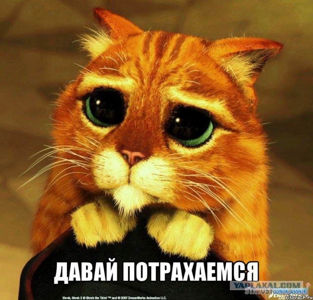 Фразы, с которых начинается секс