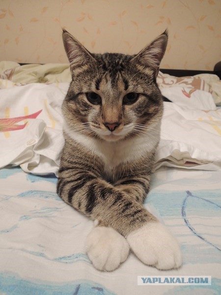 Мне страшно
