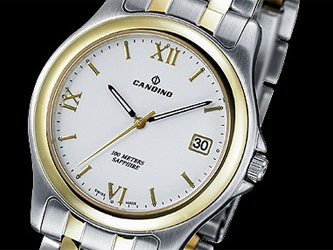 Сотрудникам МВД понадобились швейцарские часы