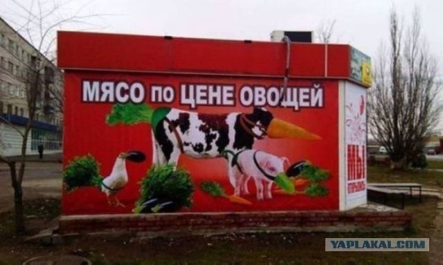 Подборка прикольных фото из сети