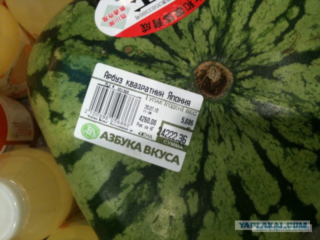...как мы тут зажрались в Москве!...