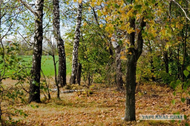 Немного моих фото, авторское