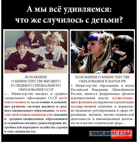 Почему молодёжь тупеет