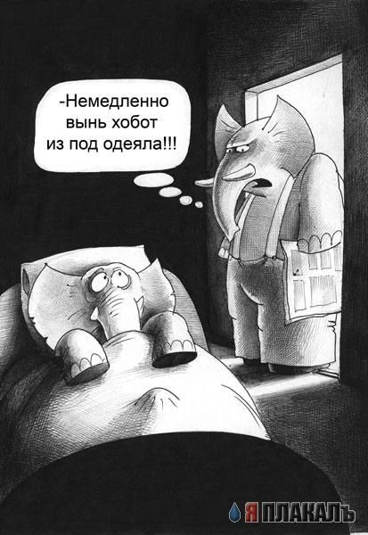 Типерь сланы