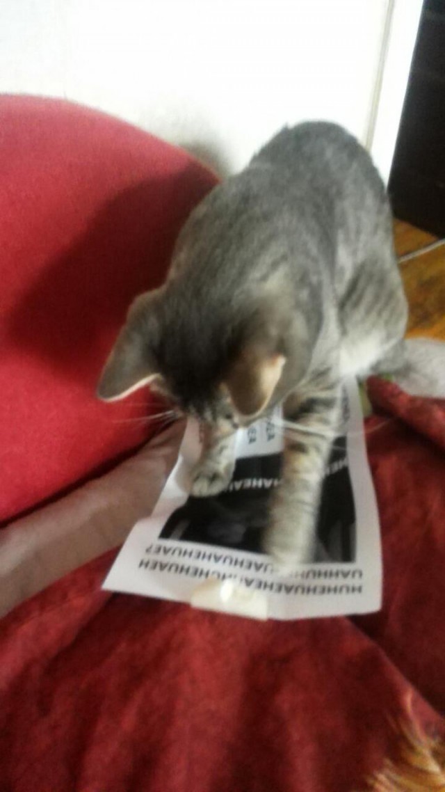 Абсурдный юмор ч.7