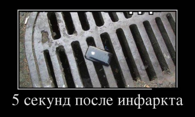 Подборка веселых картинок на выходные