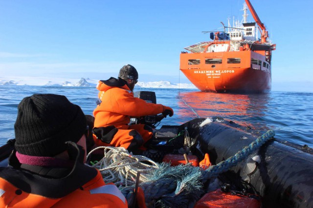 Полтора года зимы