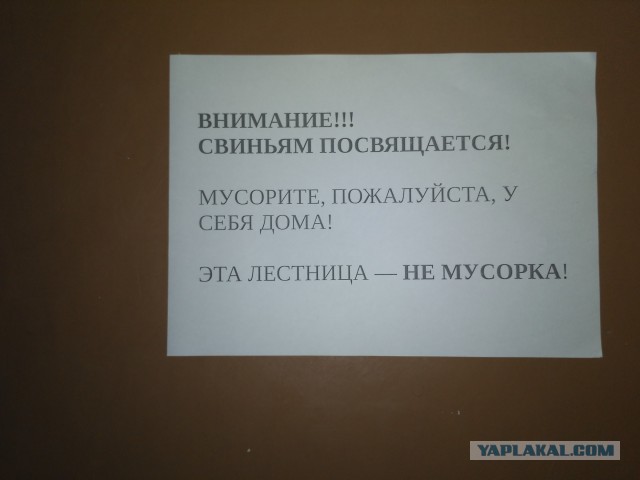 Чувак выкинул мусор, жильцы вернули