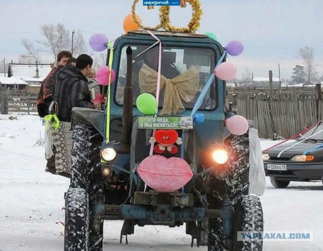 Немного картинок и гифок для пятничного настроения.
