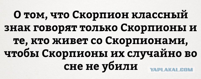 Факты о скорпионах, о которых вы могли не знать