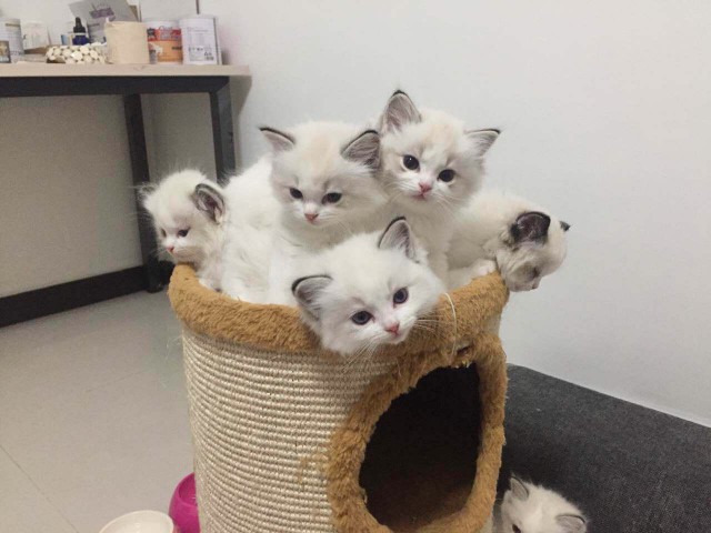 Расслабим глазки?