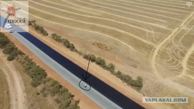 Как делают дороги в Австралии