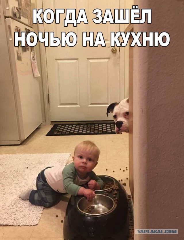 Подборка интересных и веселых картинок