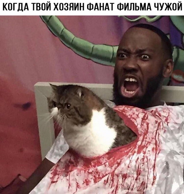 Ужасы и приколы из соцсетей 18+