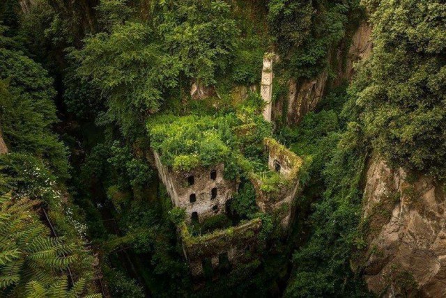 Моменты, запечатлённые на фото и просто позитив 5