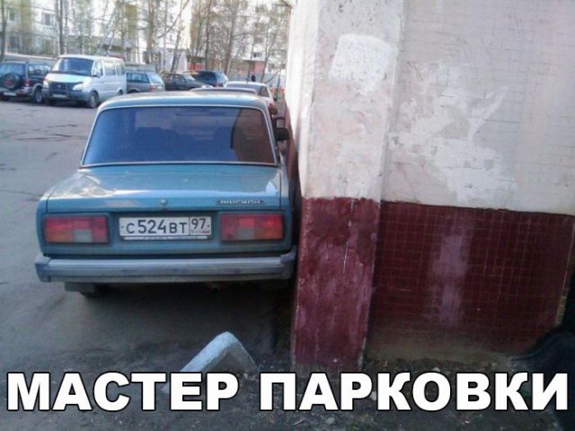 Подборка безудержного веселья