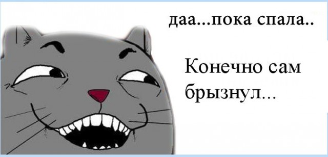 Время ах**тельных историй..