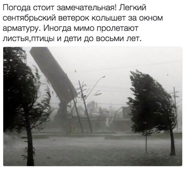 Ух ты, ну как же всё в точку!