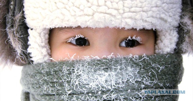 В Оймяконе дети пошли в школу при -50°