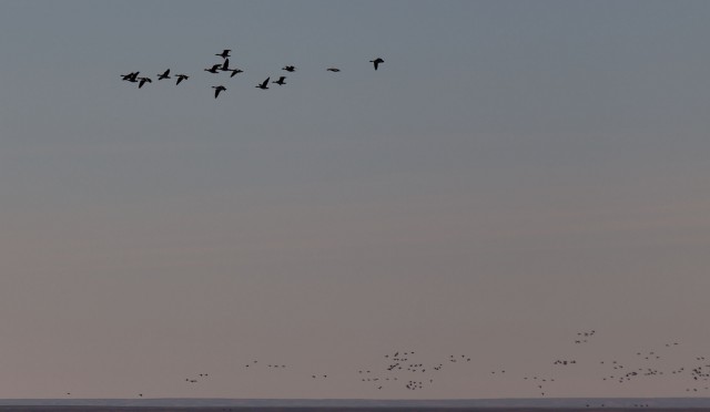 Просто Природа