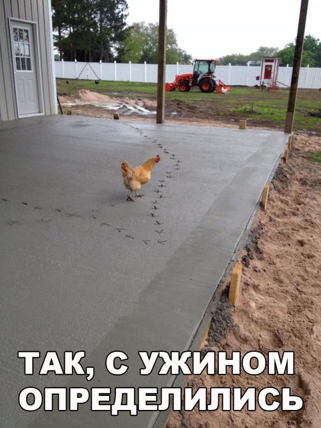Тупик эволюции