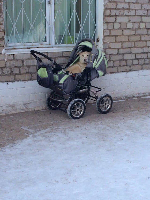 Временный пост. Всякое-разное