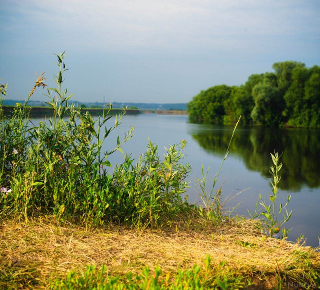 Просто Природа