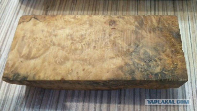 Что мы знаем о деревьях? Вот какие тайны хранит древесина