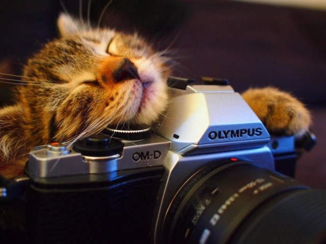 Подборка эмоциональных фотографий