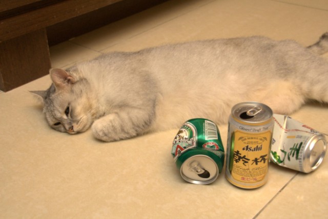 Котопятница: А кто не пьёт? Назови! ))