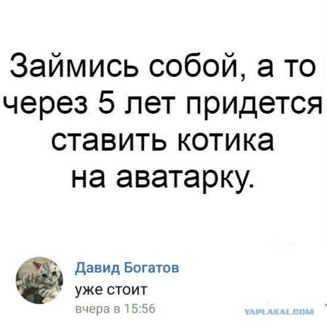 Немного картинок в эту пятницу