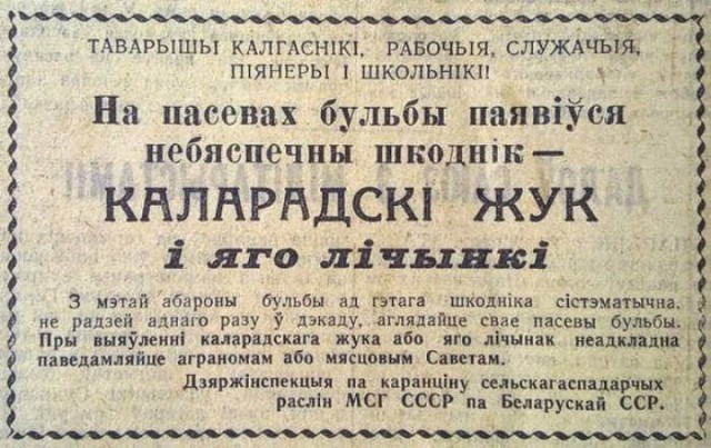 ЕГЭ это  гребаный развод, придуманный для эффективного отсеивания желающих поступить в ВУЗ