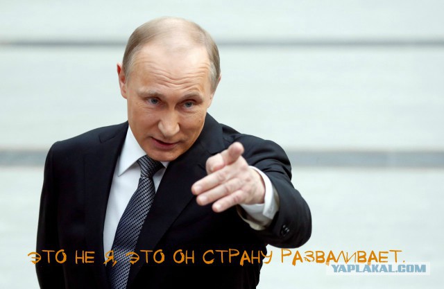 Невзоров тролль.