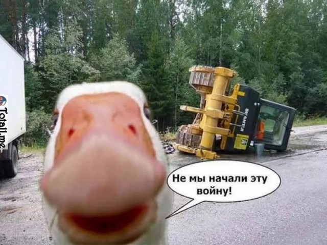 Видео о нелегкой судьбе сельской мотосестры