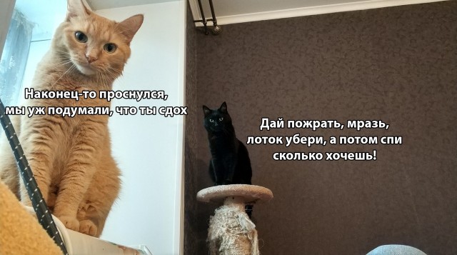 Картинки с надписями и анекдоты 17.09.19