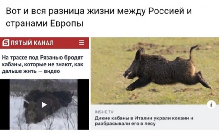 Бредзона 19.11.19