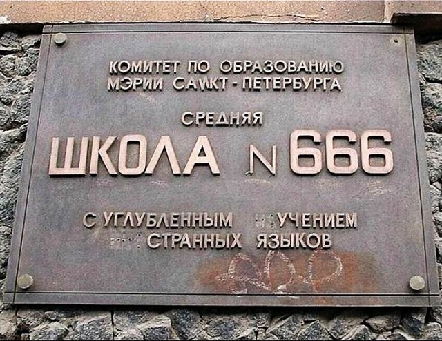 Кошка Мурка едет в дурку
