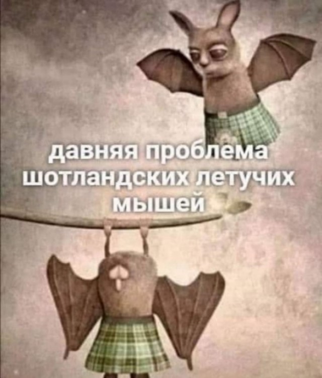 Мы сюда деградировать приходим, или как?