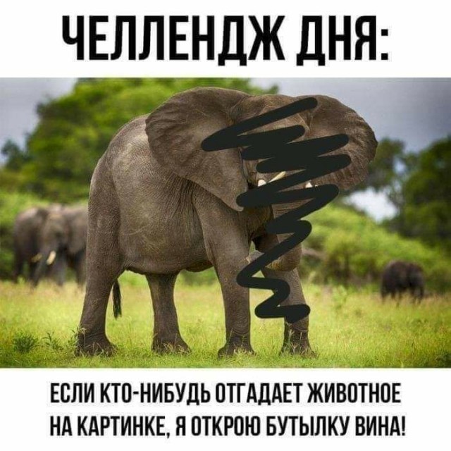Так себе картинки #14