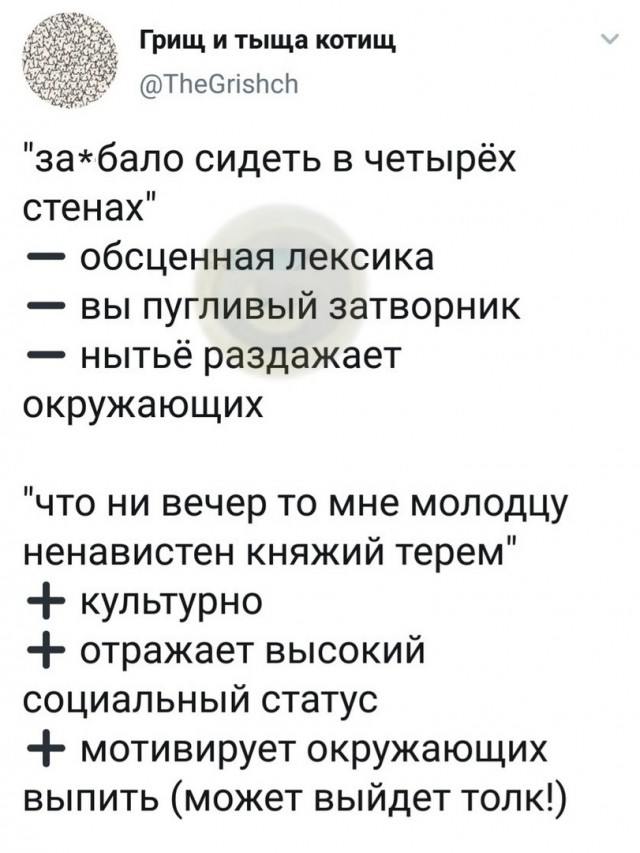 Свинегрет: картинки, надписи и прочее на 11.05 или №24