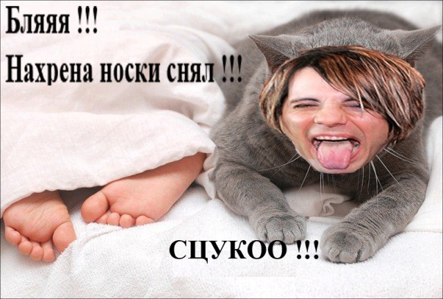 Конкурс фотожабы: Мой Кумир