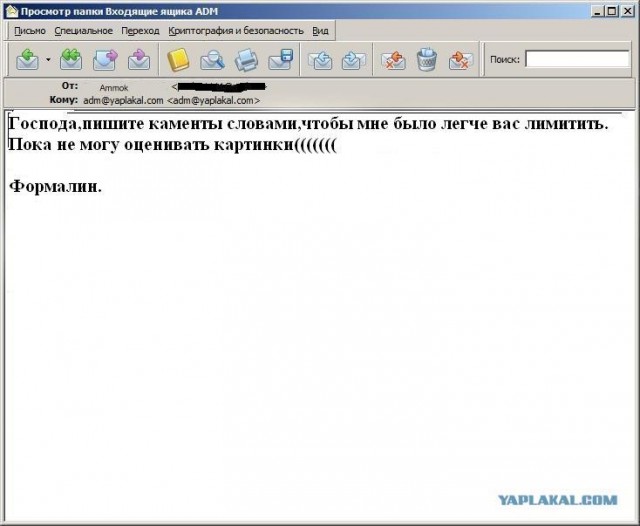 Почему меня забанили на ЯПлакалъ?