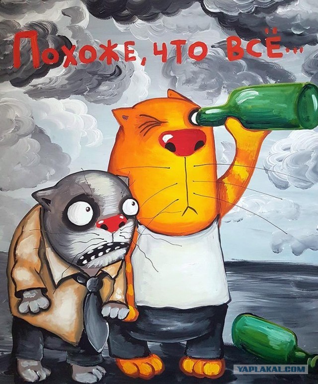 Смешные коты