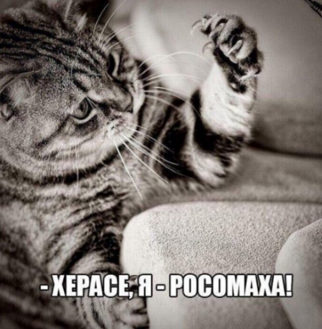 Предупреждение