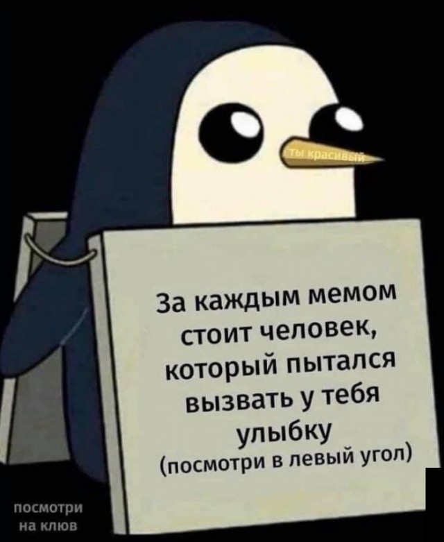 Немного картинок для настроения 14.09.20