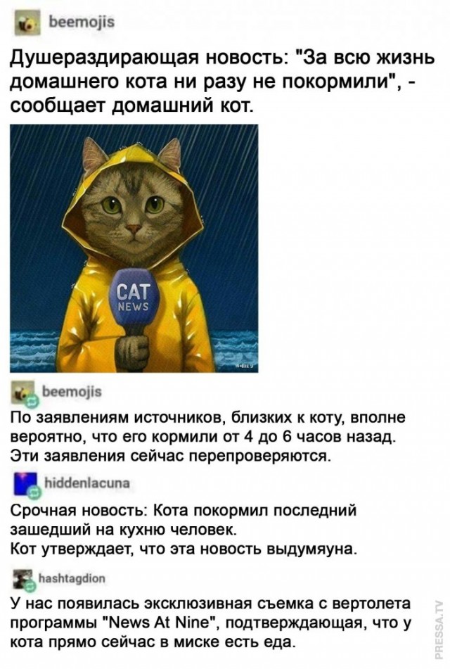 Картинки и мемы для настроения 008