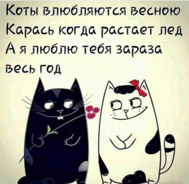 Бредзона 12.12.20