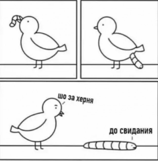 Бредзона 17.12.20