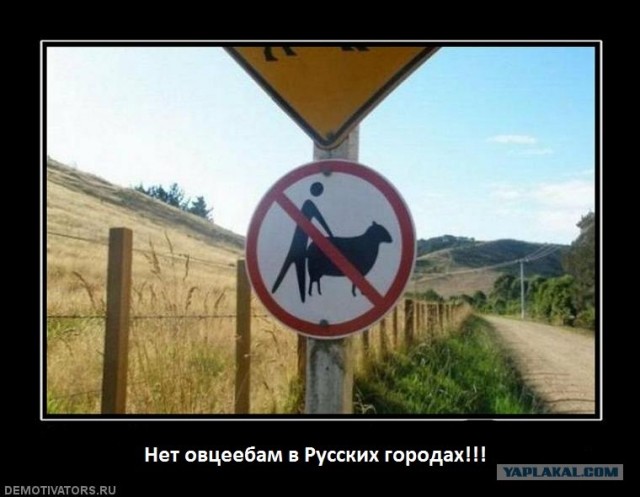 Очередное "мажорсокое" ДТП на Смотре